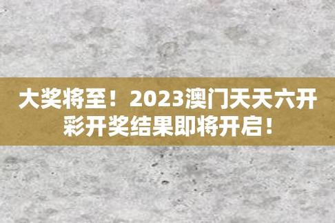 2023澳门资料大全免费软件,真实经典策略设计_VR型43.237