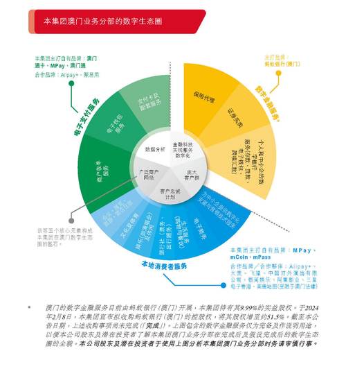 精准澳门2024年201期,设计策略快速解答_整版DKJ656.74