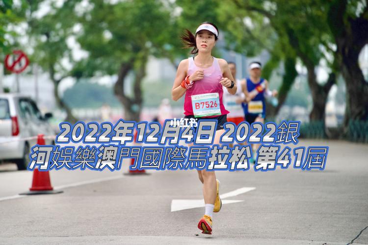 澳门正版资料大全免费公开2022,设计策略快速解答_VR型43.237