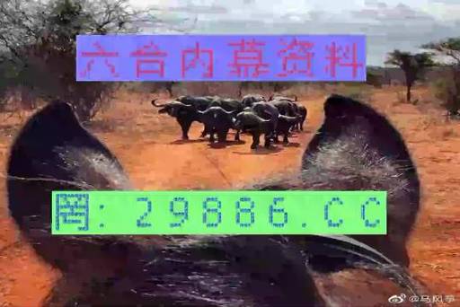 澳门一码精准三中三精准,设计策略快速解答_VR型43.237