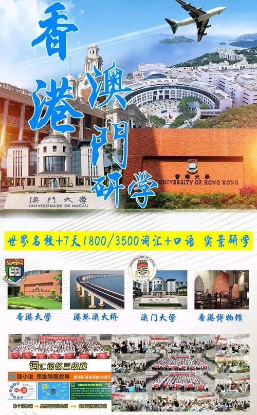 澳门2024最精准资料大全,设计策略快速解答_整版DKJ656.74