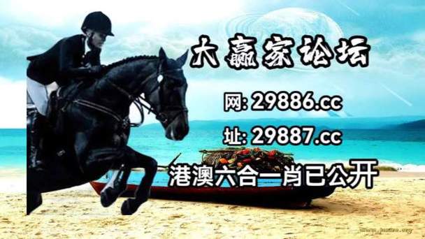 澳门今天晚上买什么特马,设计策略快速解答_VR型43.237