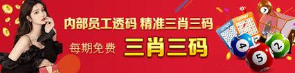 2024年澳门精准三肖三码资料,绝对策略计划研究_社交版40.12.0