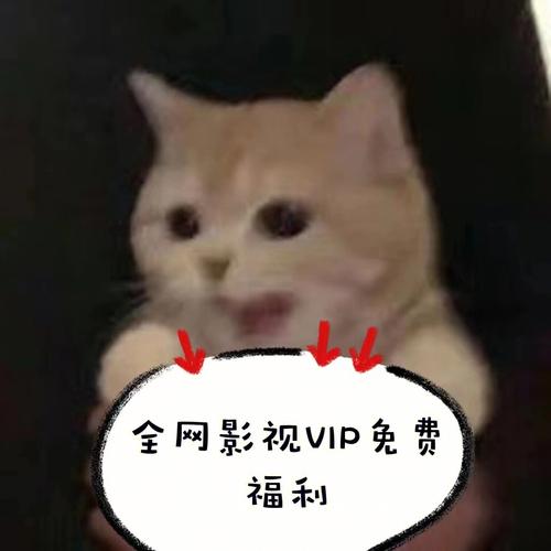 不用vip的免费追剧软件下载,绝对策略计划研究_社交版40.12.0