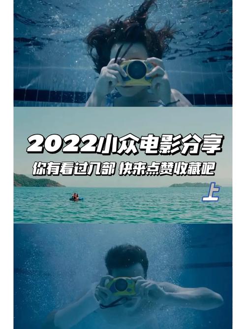 2022年上映电影排行榜,设计策略快速解答_整版DKJ656.74