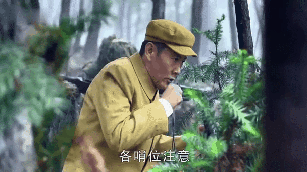 在黎明之前电视剧免费观看完整版谍影