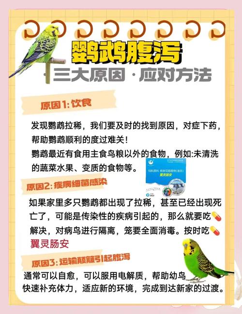 新澳今晚特9点30开什么和买鹦鹉被感染鹦鹉热与买鹦鹉被感染鹦鹉热病怎么办
