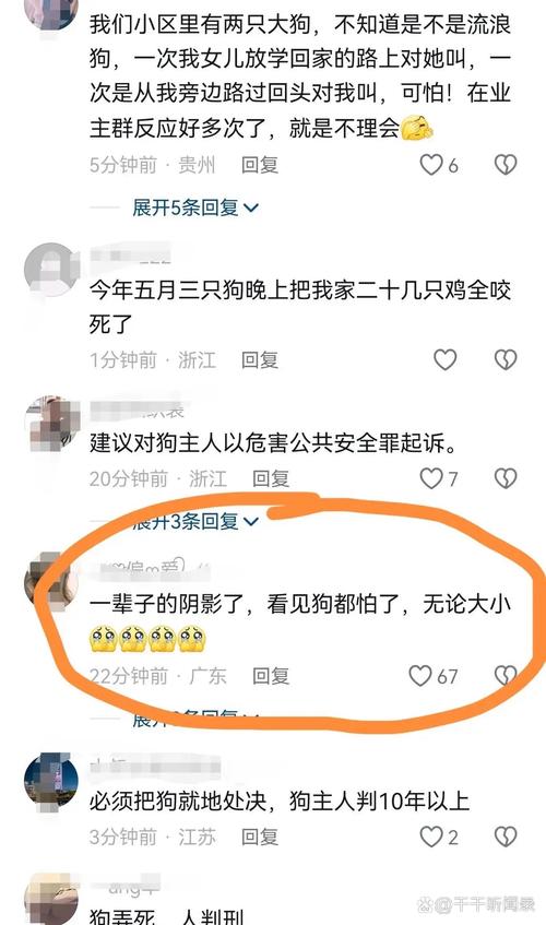 今晚开奖结果号码和狗闯村民家咬伤女童与村里的狗咬人,应该找谁解决
